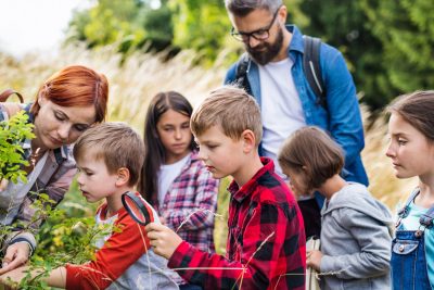 aprende jugando la naturaleza se convierte en aula en escuelas bosque infantiles