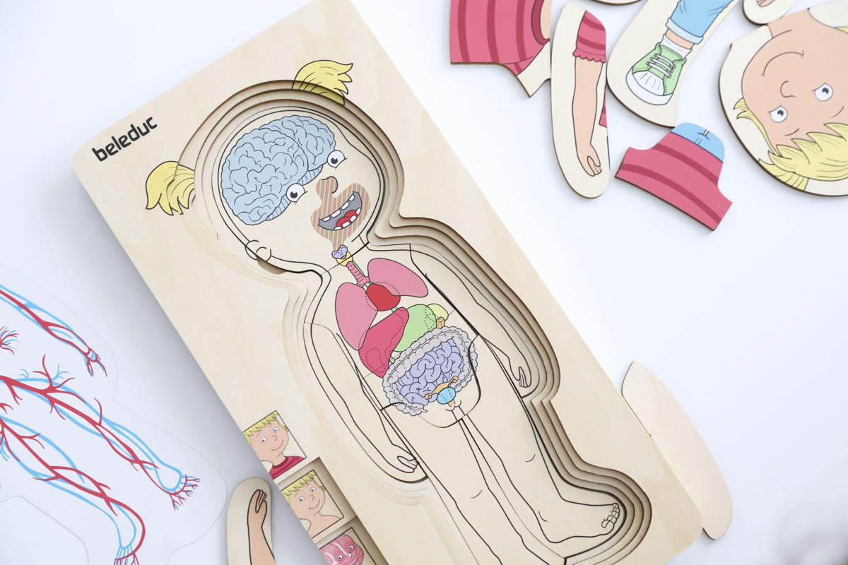 Aprende sobre el cuerpo humano de manera divertida con estos juegos educativos 1 aprende sobre el cuerpo humano de manera divertida con estos juegos educativos