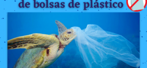 como celebrar el dia internacional libre de bolsas de plastico