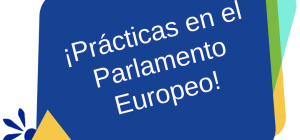 como conseguir practicas en el parlamento europeo