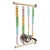 descubre los fascinantes habitos y caracteristicas de los petauros del azucar