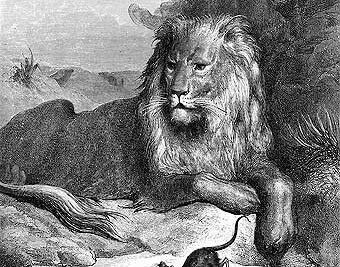 la tremenda aventura de un leon y un mosquito en esta clasica fabula de la fontaine