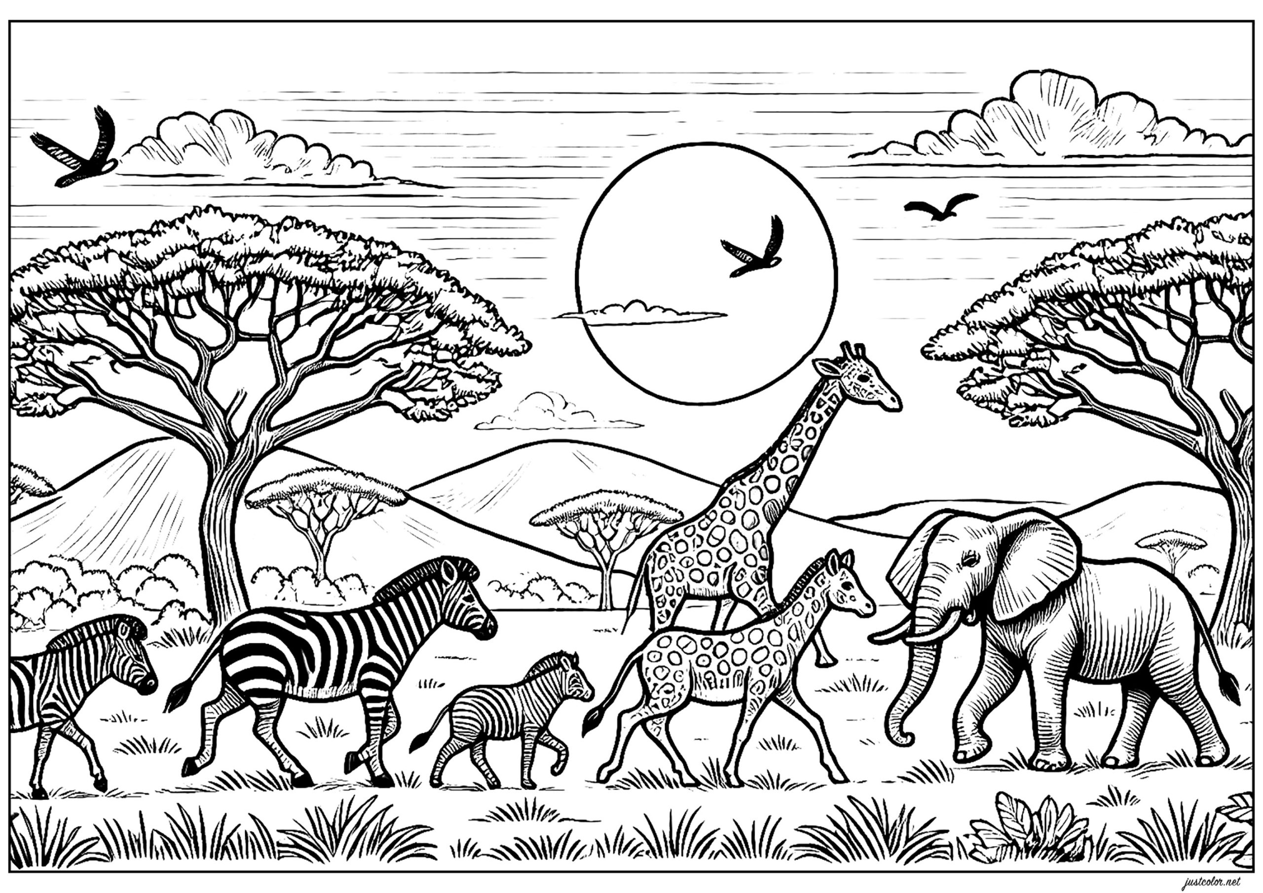 Vive en color: descubre la belleza de la naturaleza y el medioambiente con nuestros dibujos para colorear 1 vive en color descubre la belleza de la naturaleza y el medioambiente con nuestros dibujos para colorear scaled